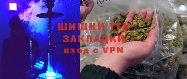 mdpv Бородино