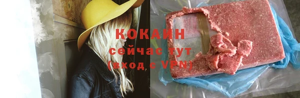 mdpv Бородино