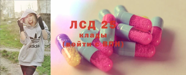 mdpv Бородино