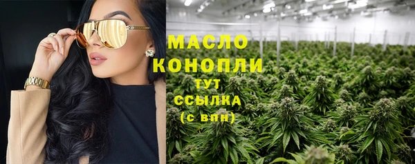 mdpv Бородино