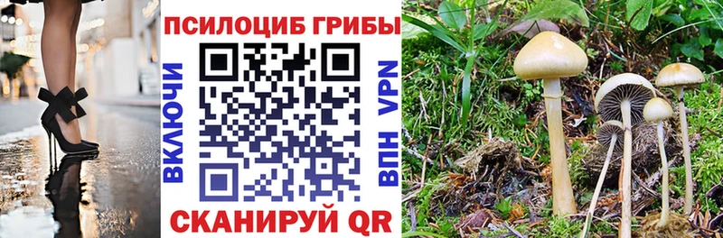 Купить  Фурманов  Галлюциногенные грибы Magic Shrooms 